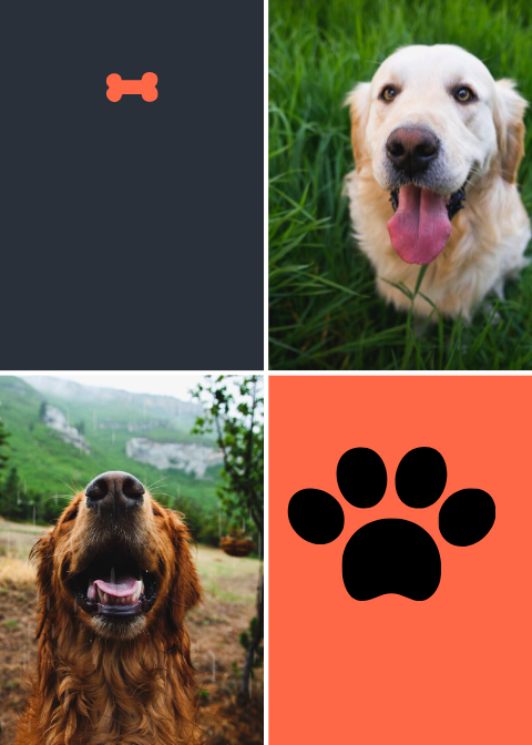 Canva Design DAEq9TolwCU Canva Design DAEq9TolwCU